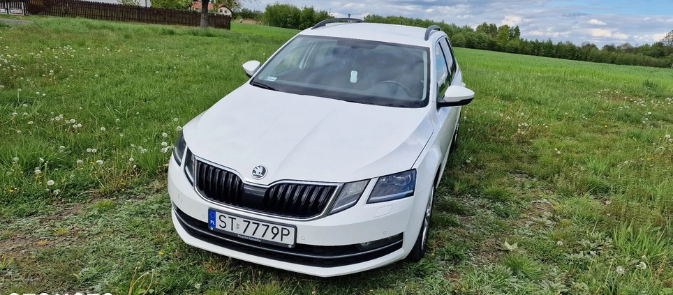 Skoda Octavia cena 90000 przebieg: 300000, rok produkcji 2019 z Mikołów małe 254